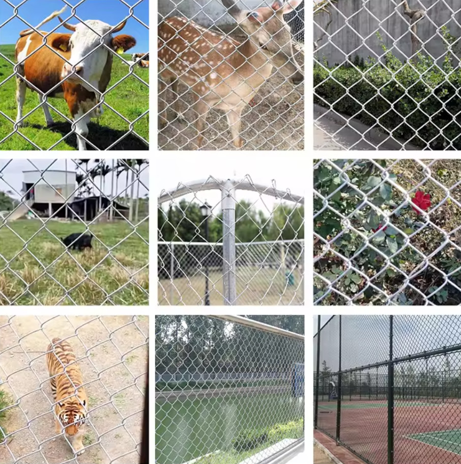 Anti Rusted Metal Chain Link Mesh With Pvc Coating And Barbed Wire For Secure Gates