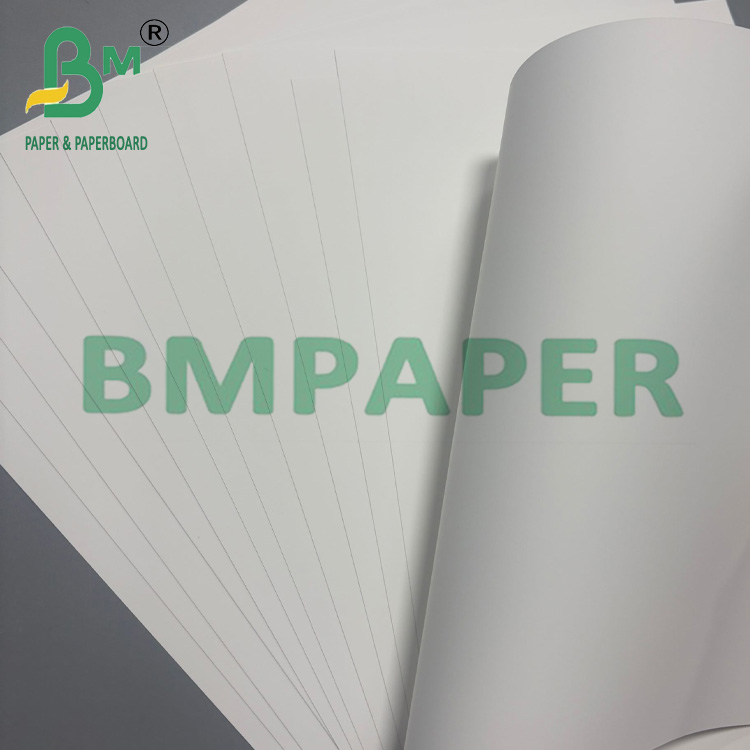 200gsm Double PET Synthetic Paper For Laser Printing 70 * 100cm