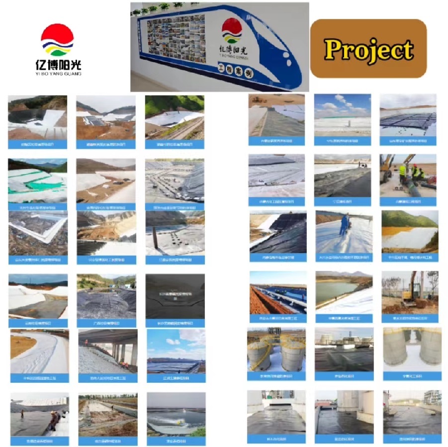 Affordable Shrimp Liner HDPE Geomembrane for Aquaculture Design Style