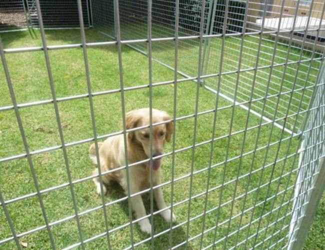 Welded Wire Mesh Roll Used In Animal Breeding