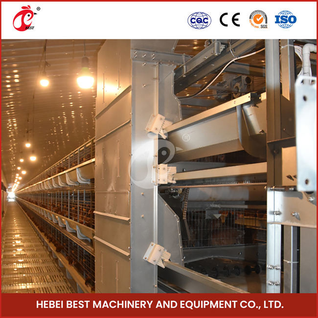 3/4/5/6 Tiers Automatic Chicken Battery Cage Equipment H Type For Layers Farm Emily