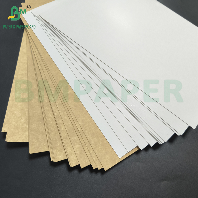 200g - 365g Clay Coated Recycled Paperboard CCKB Kraft Back For Carton Boxes