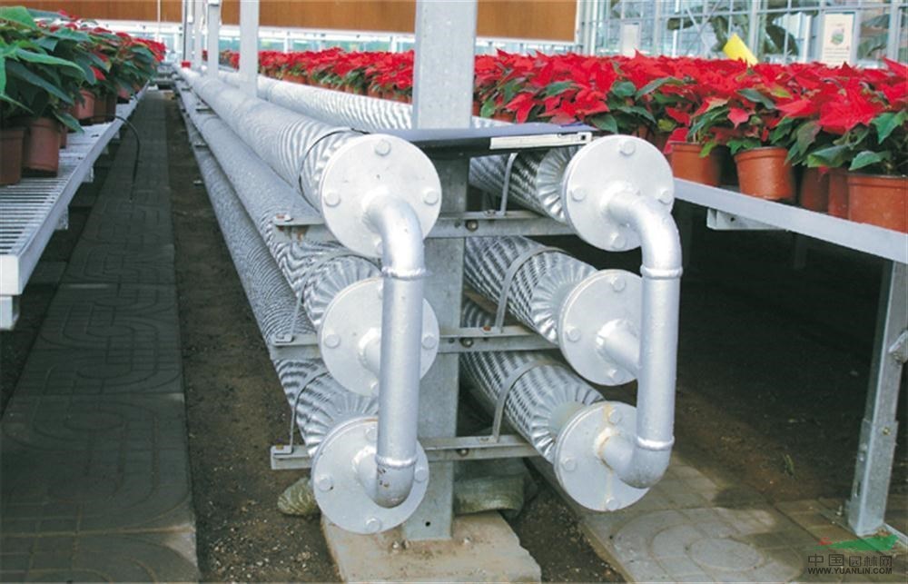 Custom Double Arch Beam Greenhouse for Vegetables Growing