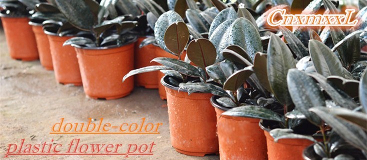 Soft Thickened Edge PP 3 Gallon Plastic Flower Pots Bottom Drainage