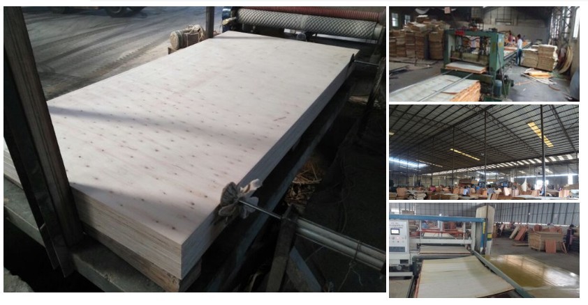 Corrosion Resistance Double Sides 16mm Melamine Faced Ply