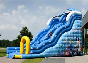 Buy cheap Colorful Inflatable Slide Rental Lovely Carton Bouncer Slide For Sale product