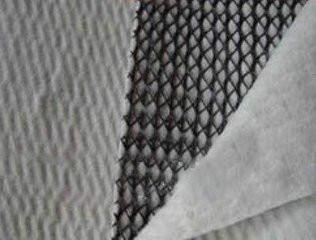 Chinese Design Style Geocomposite Drainage Sheet with CE/ISO9001/ISO14001 Certificate