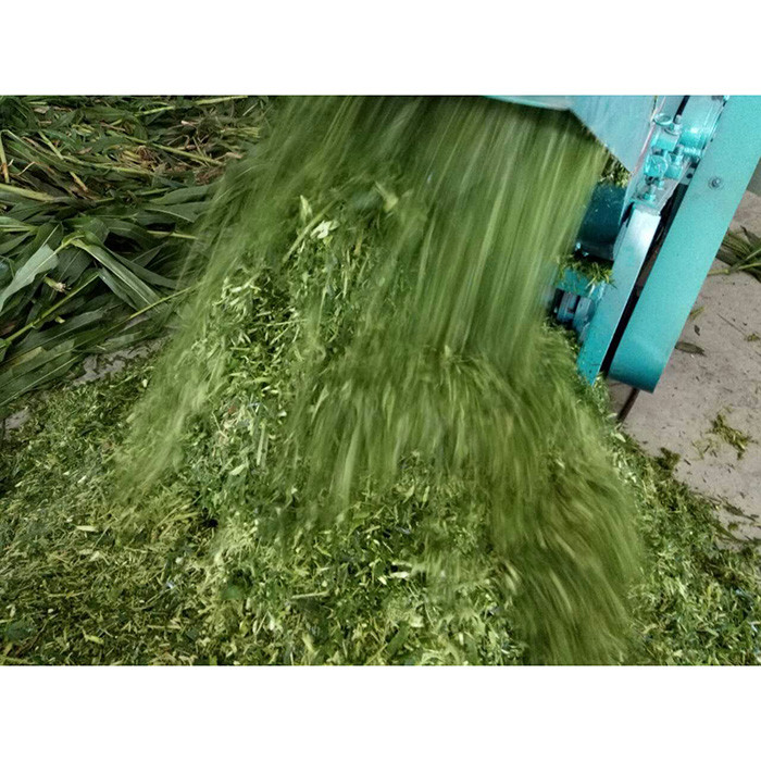 6t/h Animal Feed Chopper Machine , 3kw 22hp Grass Cutter Machine Corn Stalk Silage