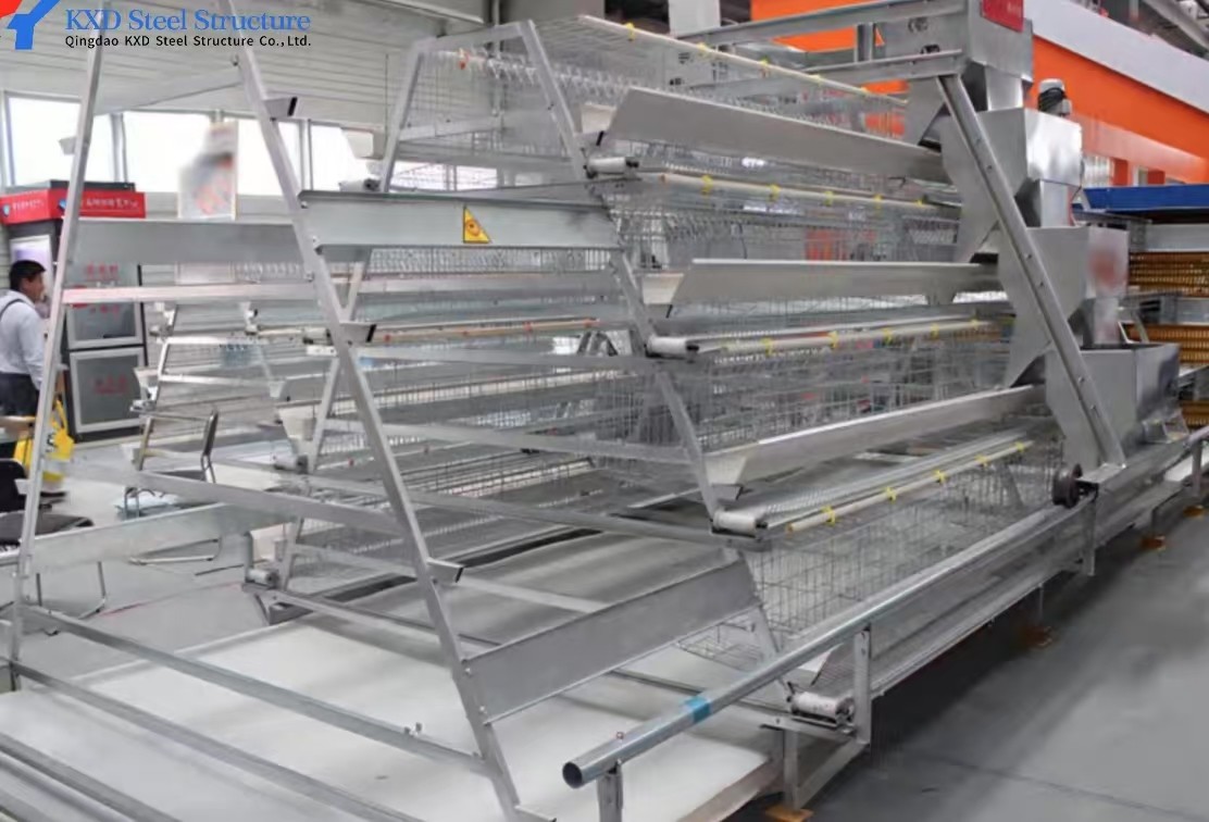 Automatic Broiler Poultry Farming Equipment Galvanized H Type Battery Chicken Cages