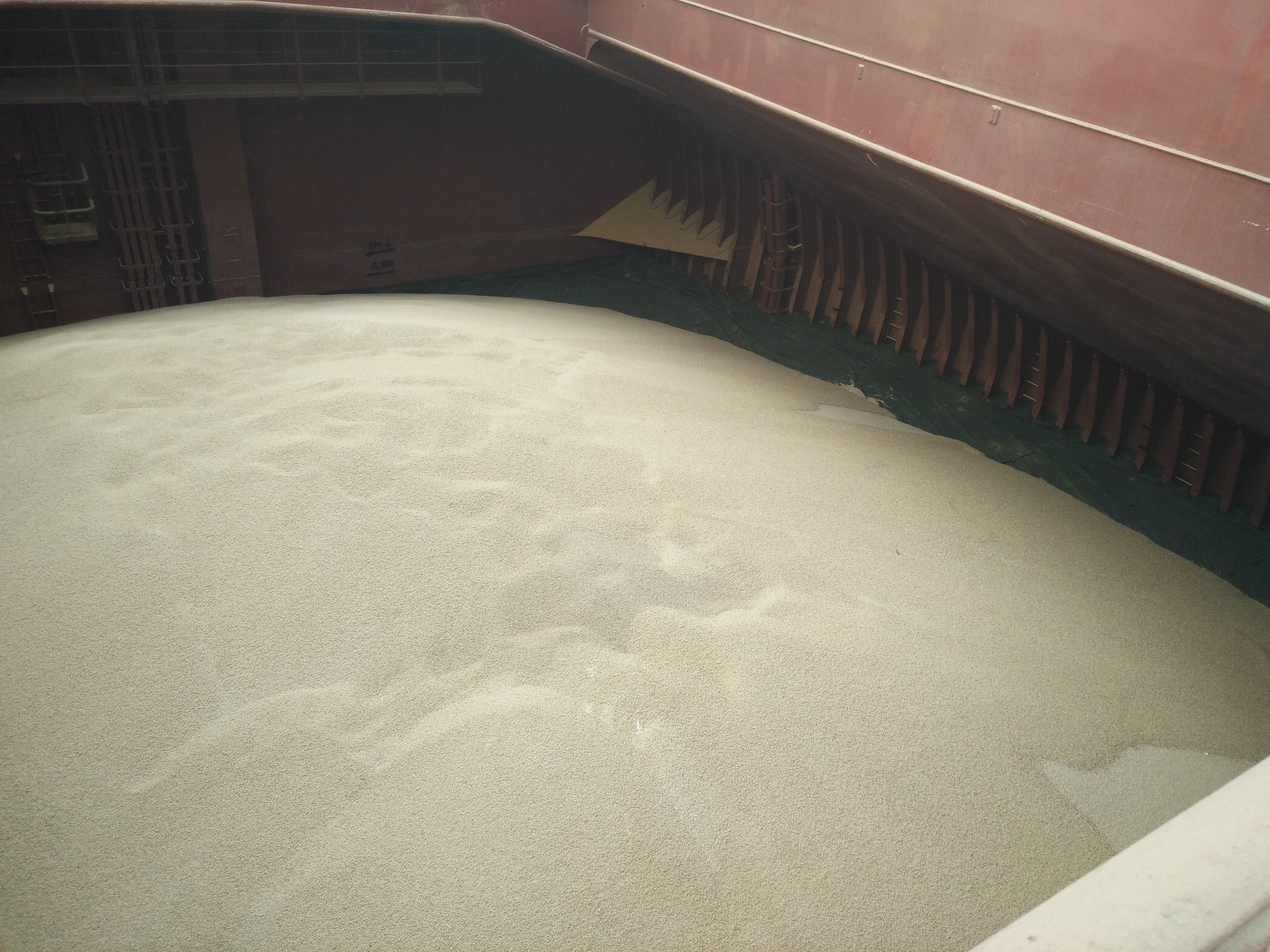 Feedstuff Protein Pellets Wheat Gluten for Aquaculture Typical Wheat Taste
