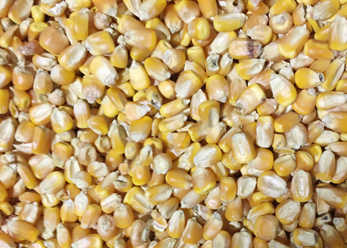 S8 Intelligent Mutiple Fuction Corn CCD Color Sorter With Stable Vibrator