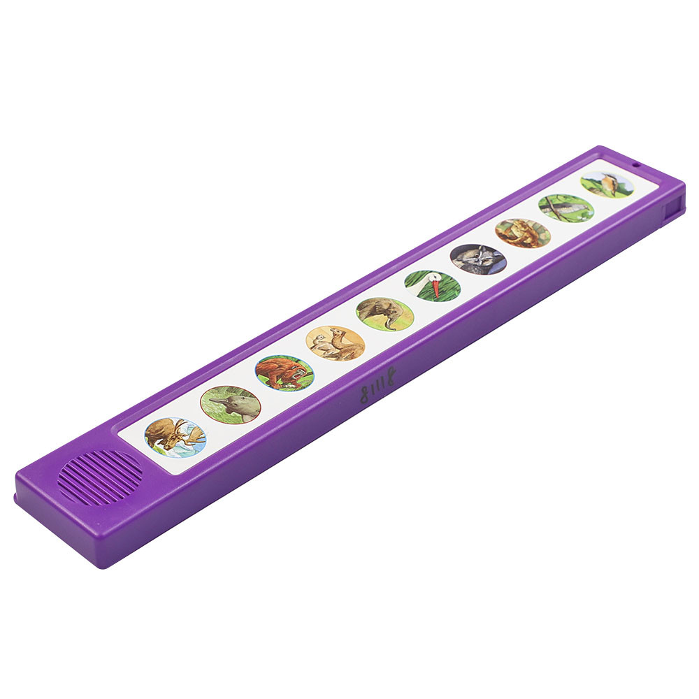 10 Buttons Baby Programmable Sound Module Environmentally Friendly Materials