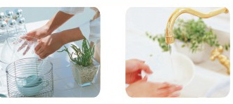 Water Ionizer