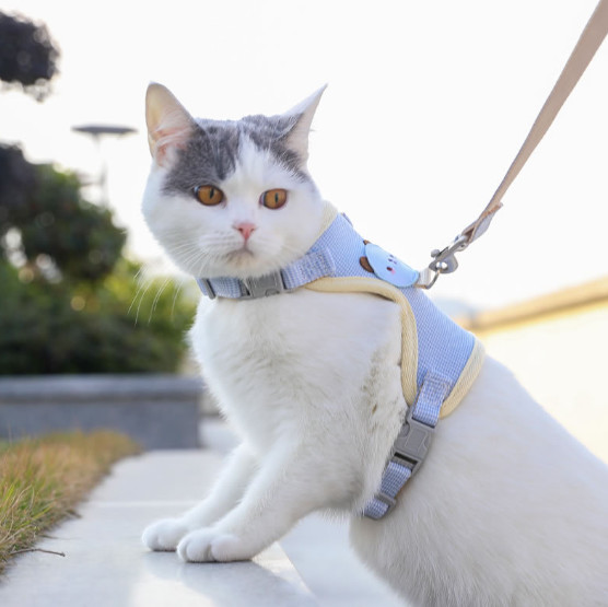 cat harness belt