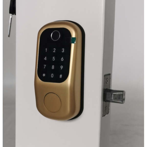 Semiconductor Fingerprint Electric Smart Lock Multi Function