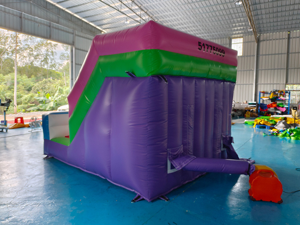 Tarpaulin 4x3m Commercial Inflatable Water Slides Inflatable Bouncy Castle Silk Printing