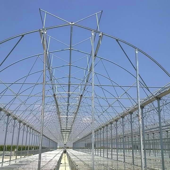 Large Scale Multi Span PC Sheet / Board Venlo Polycarbonate Greenhouse For Flower Vegetable Plant