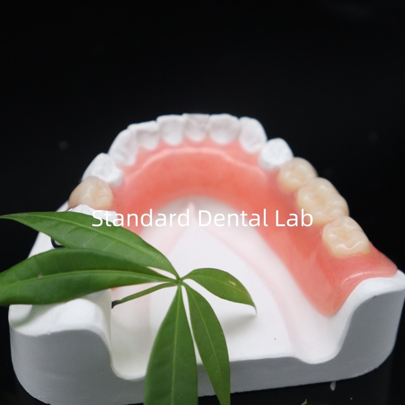 High Esthetics Dentsply Lucitone 199 Acrylic Denture acrylic resin for dentures China Dental lab