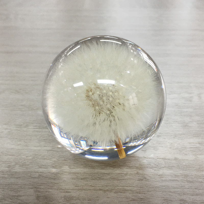 Acrylic Flower Paperweight Logo Customized For Decoration