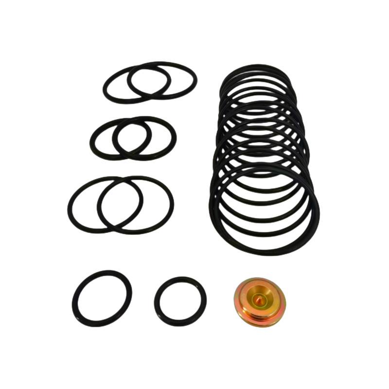 AP Compact Setting SHQN Rubber Seal Kits Wireline Adapter O Rings Kits