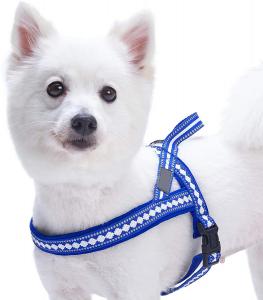 China Stylish Dog Harness Leash 3M Reflective Neoprene Soft Polyester Webbing on sale
