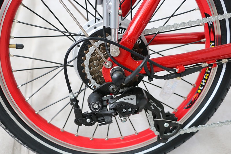 Competitive Israel Electric Bike with Down Tube Battery Position and Charging Time 3 Hours