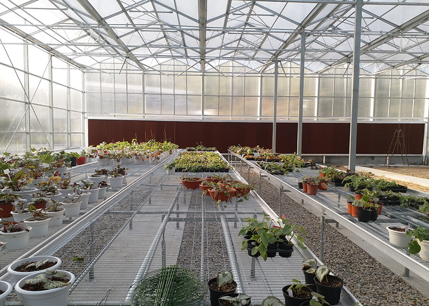 High Transparency & Durable PC Material, Spacious Interior PC Greenhouse - Ideal For Year Round Plant Cultivation
