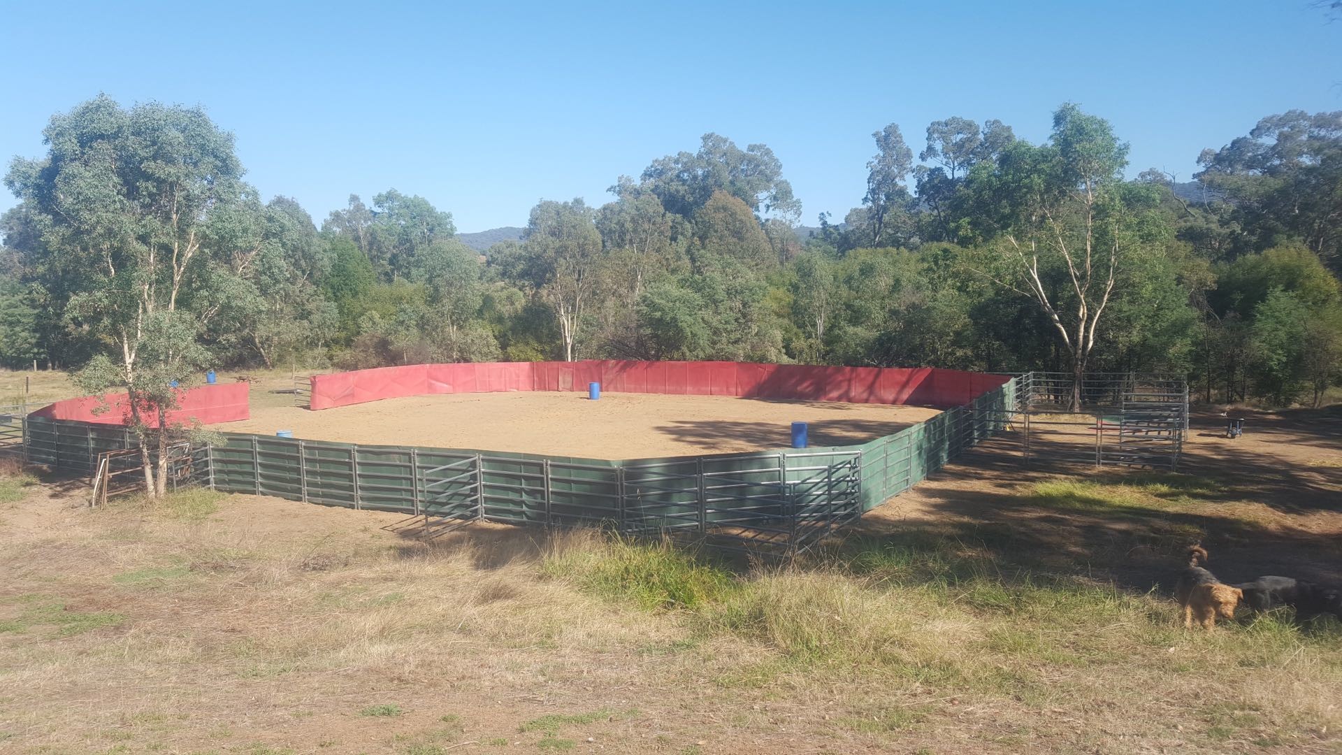 Powder Coated 5 Rails Heavy Duty Cattle Panel With Round Pipe