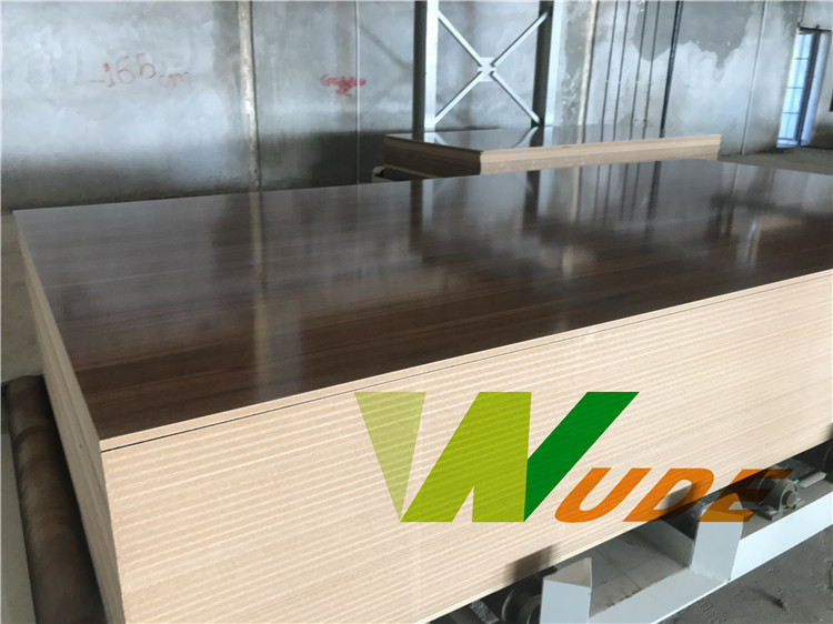 Furniture Board Double Sided Synchronous Laminating Line High Pressure Short Cycle