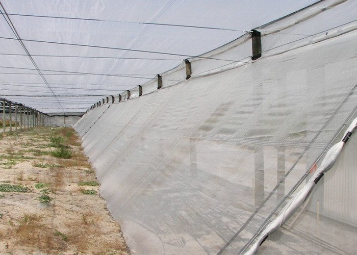 100% HDPE 4x50m Insect Mesh Netting For Greenhouse Nursery / Agricultural