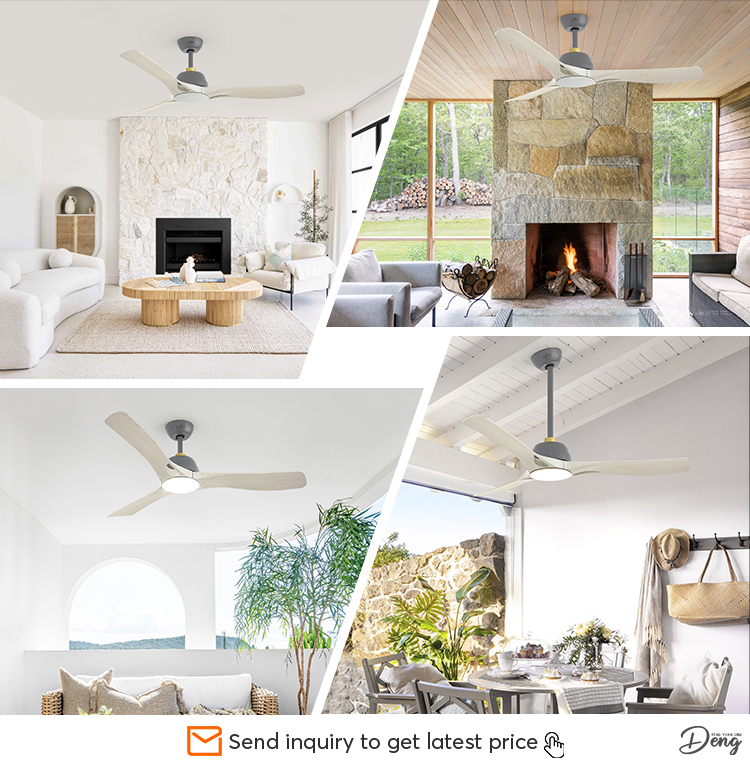 Pure Copper Motor LED Ceiling Fan with Remote Control and App Control Modern Design