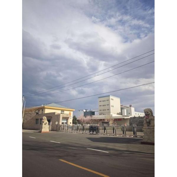 15T/H 20T/H 30T/H Floating Fish Pellets Plant Sinking Fish Aqua-feed Processing Granulator For Animal Feedstuff Pet Feed Making Machine