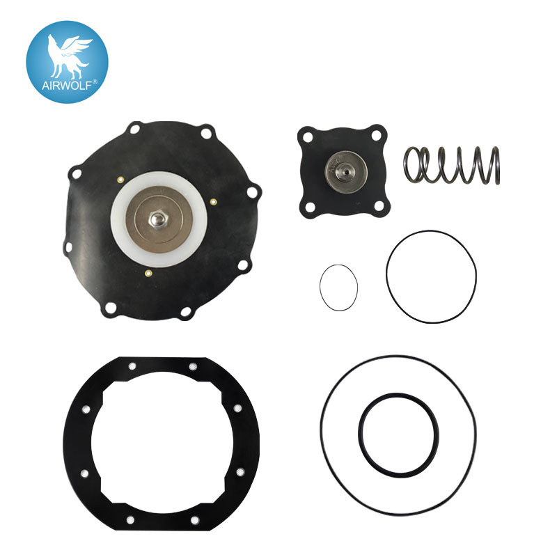C113928 Diaphragm Repair Kit For SCXE353.060