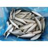 Buy cheap Pacific IQF Fish 80g Whole Round Bulk Fresh Frozen Mackerel from wholesalers