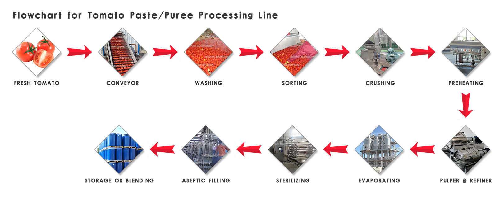 Double Concentrate Tomato Paste Turnkey Production Line