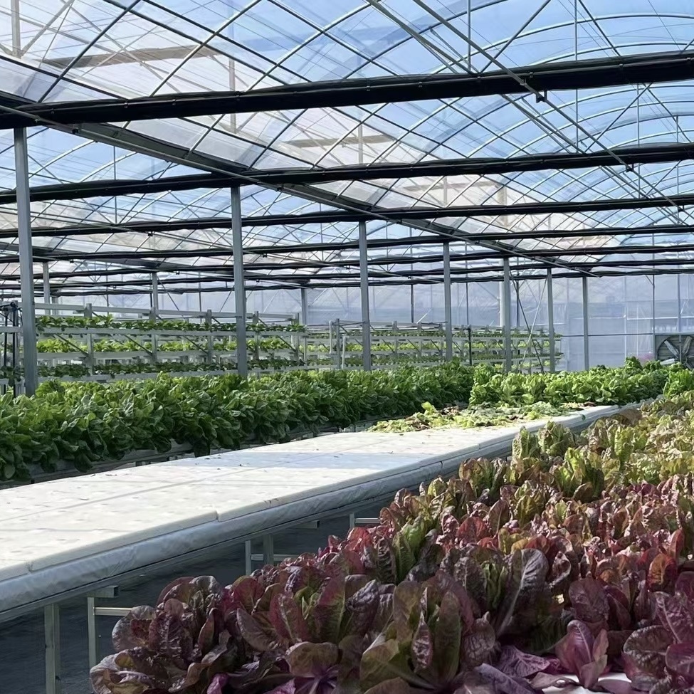 Vegetable Production Po Film Greenhouse with Shading System