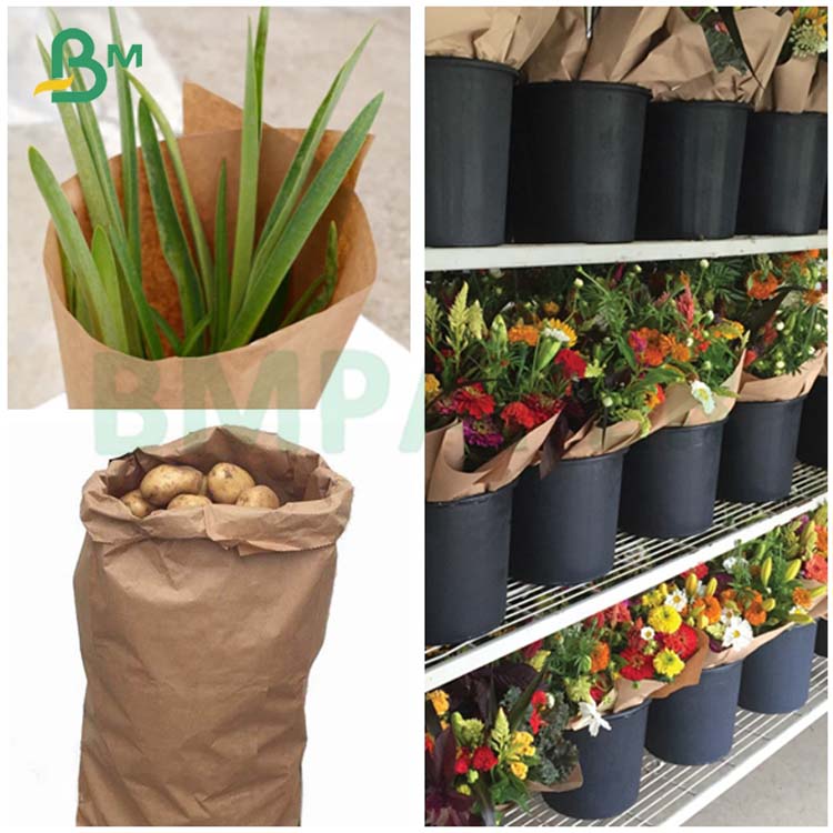 FDA Compliant 40LB 50LB Wet Strength Brown Kraft Paper For Covering plants