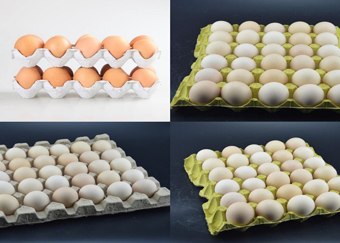Customized Color Waste Paper Egg Tray Machine 350 Pcs/h Stainless Steel Material