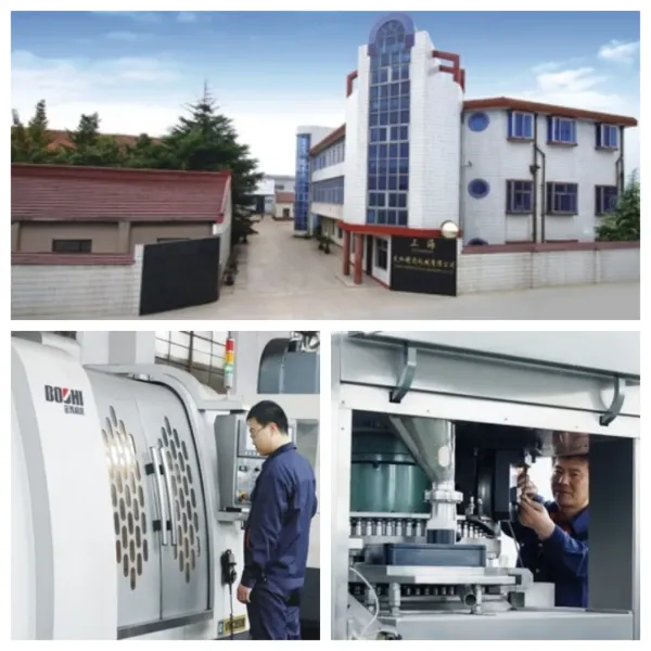 TIANHE Customized Mould/Punches & dies/any shape size for Tablet press/compression