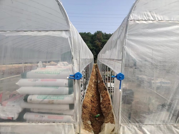 Agricultural Tunnel Greenhouse Single Span PE Film Greenhouse For Flowers Plant