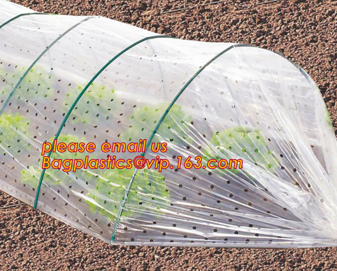 Pe Mulch Film With Holes For Agriculture Perforated Red Plastic Mulch For Peppers Crop Cover For Tomatoes