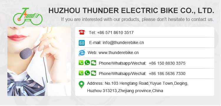 48V 12Ah 24 Inch Red Electric Bike With Lead Acid Battery Front Disk Rear Drum Brake