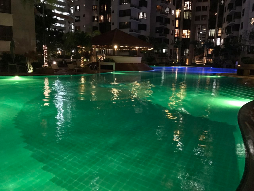 24V 316SS Submersible Pool Lights 18W Underwater Inground Pool Lights