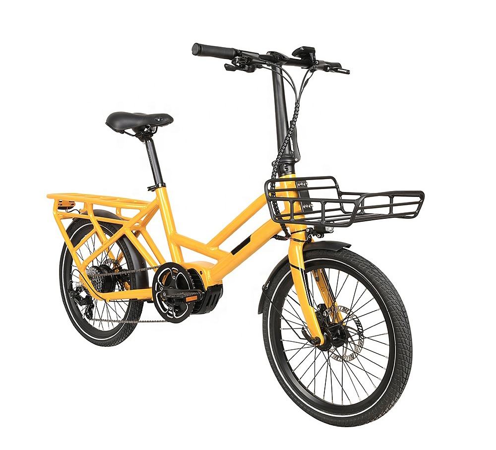 20 Inch Retro Dual 250W Electric Cargo Bike 7 Speed 36V 7.8Ah Lithium Battery