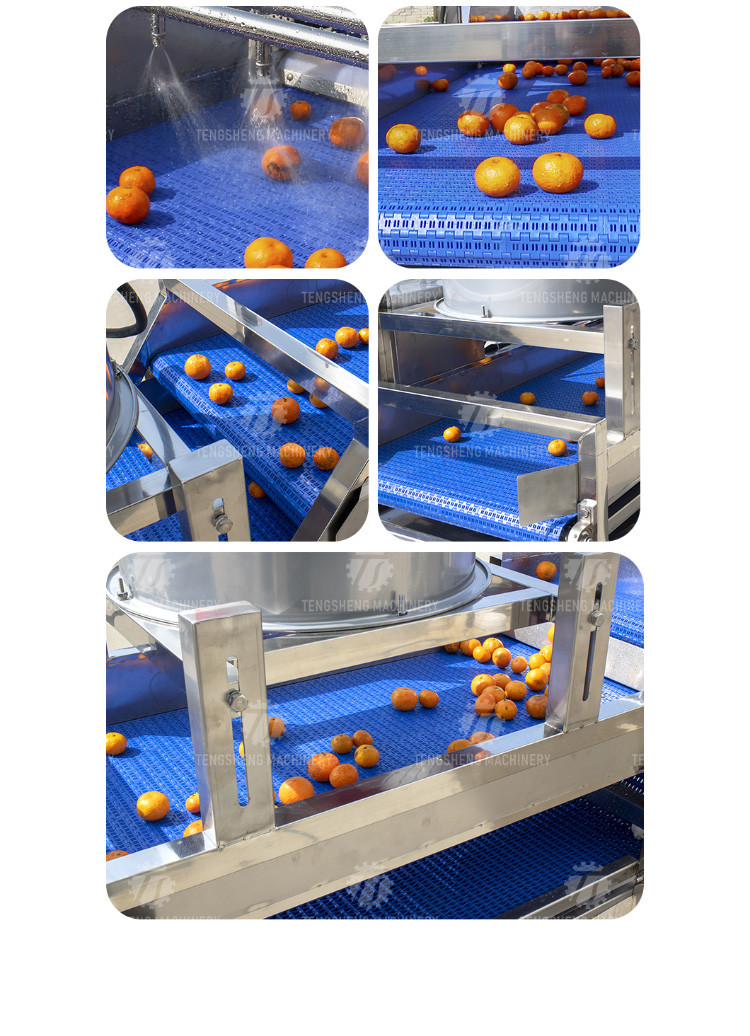 380V Stainless Steel Mesh Belt Air Drying Machine for Fruit And Vegetable