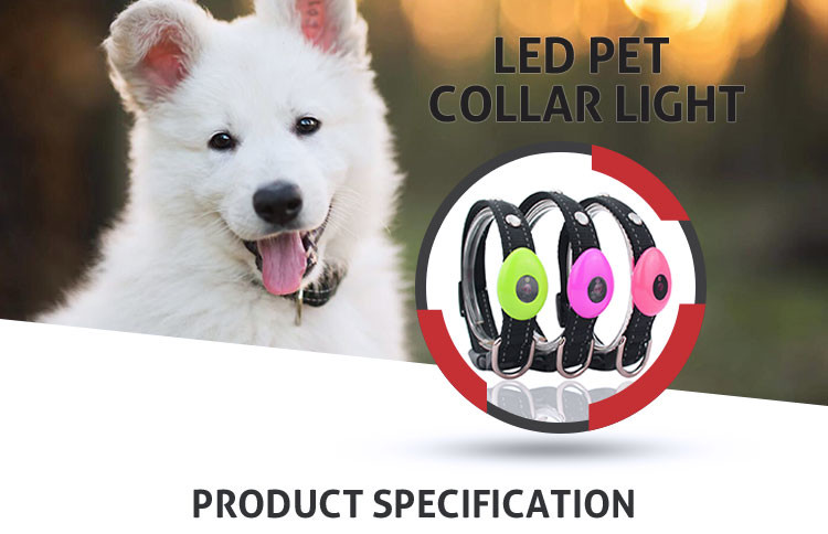 Waterproof Light Up USB Rechargeable LED Dog Collar With Flashing Lights