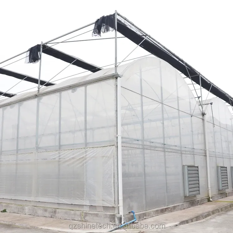 Super Strong Resistance Multi Span Agricultural Greenhouse By Shine Tech