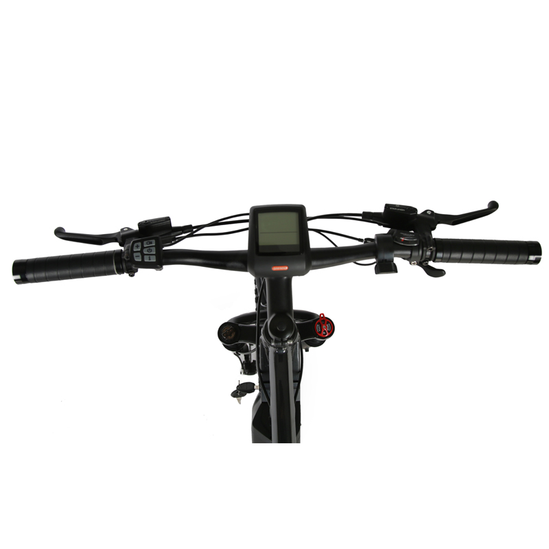 High Speed and Short Charging Time 2024 Customized Mid Drive Electric Mountain Bike