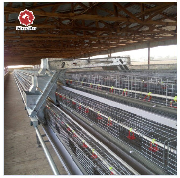 90 Birds A Frame Layer Cages Chicken Poultry Laying Hens Equipment