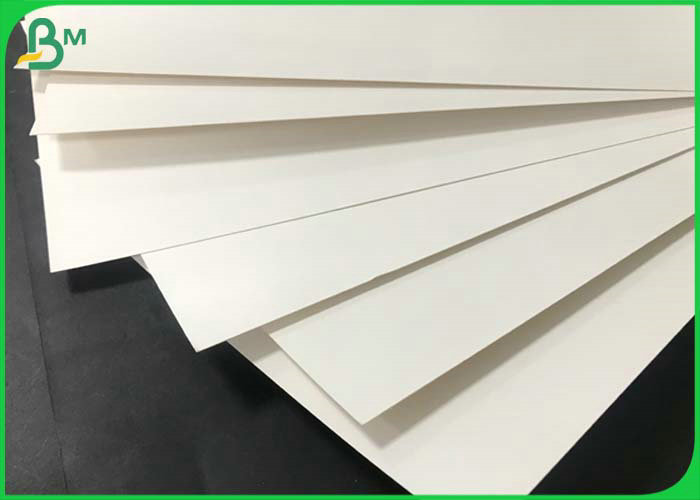 Food Grade Matte PLA & PE Coated white kraft Cup Paper for biodegradable paper cup